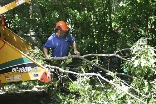 tree services Fort Calhoun